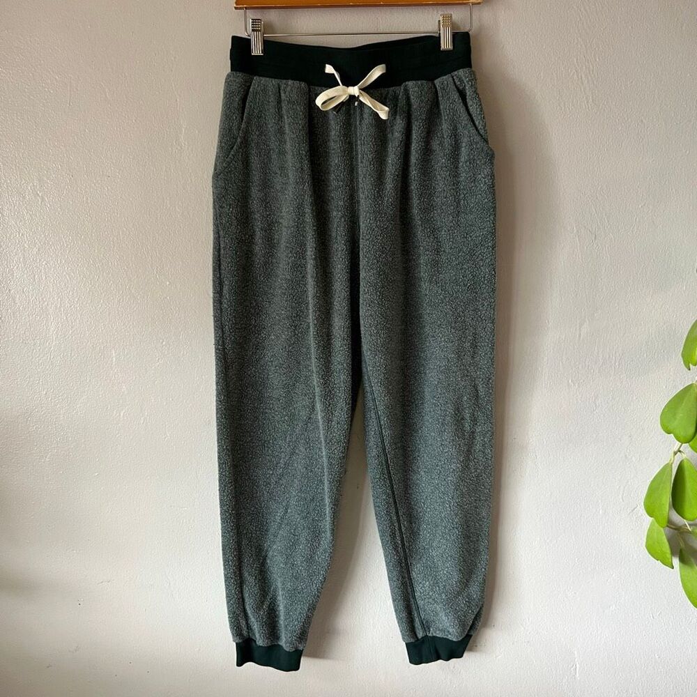 Feat unisex blanket blend Joggers iguana